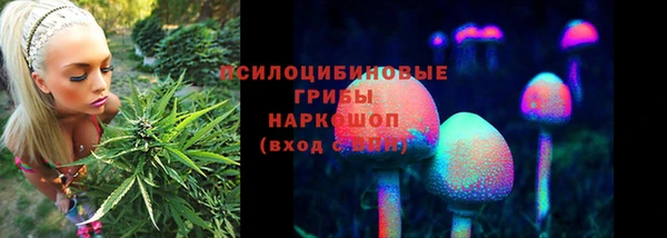 ALPHA-PVP Богородицк