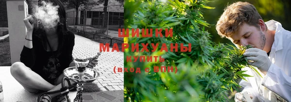 соль ск Верхний Тагил